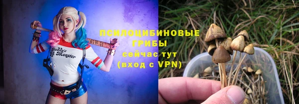 гидра Белоозёрский