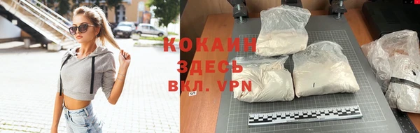 гидра Белоозёрский