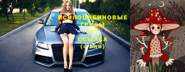 прущий лед Белокуриха