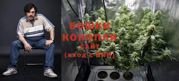 гидра Белоозёрский